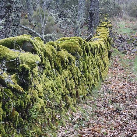 Apartamentos Sierra De Francia Monsagro Buitenkant foto