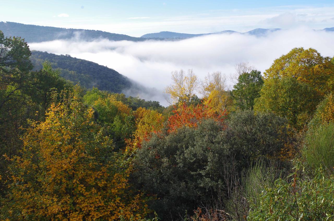 Apartamentos Sierra De Francia Monsagro Buitenkant foto