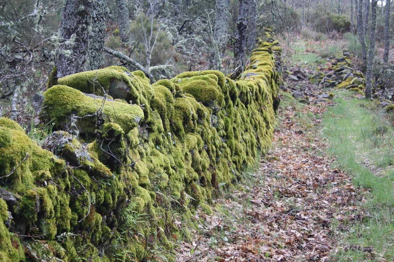 Apartamentos Sierra De Francia Monsagro Buitenkant foto